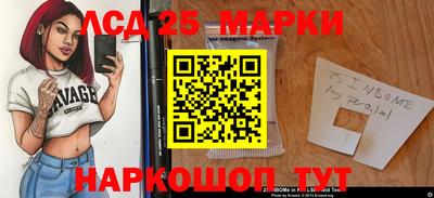крисы Будённовск