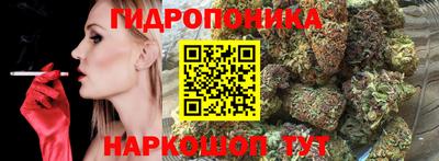 крисы Будённовск