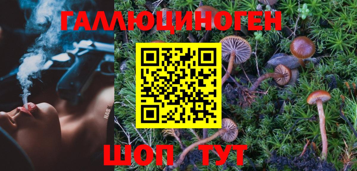 Псилоцибиновые грибы GOLDEN TEACHER Лысьва