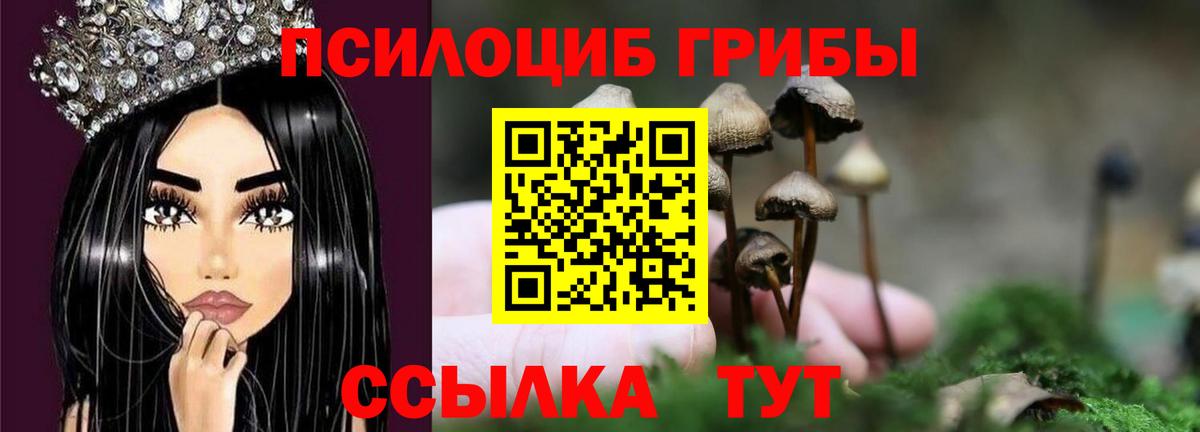 Лысьва  Галлюциногенные грибы MAGIC MUSHROOMS  Вход с VPN 
